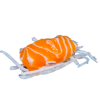 sashimi saumon