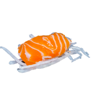 sashimi saumon