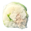 SpringThonCuitCheese