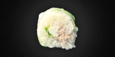 SpringThonCuitCheese